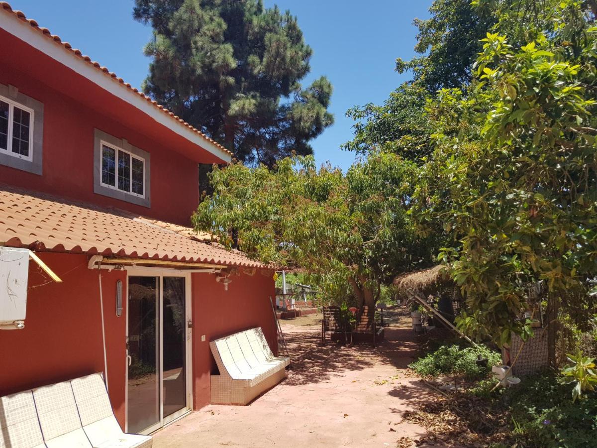 Finca Rural Torres Casas 1 Y 4 Bed & Breakfast Вега де Сан Матео Екстериор снимка