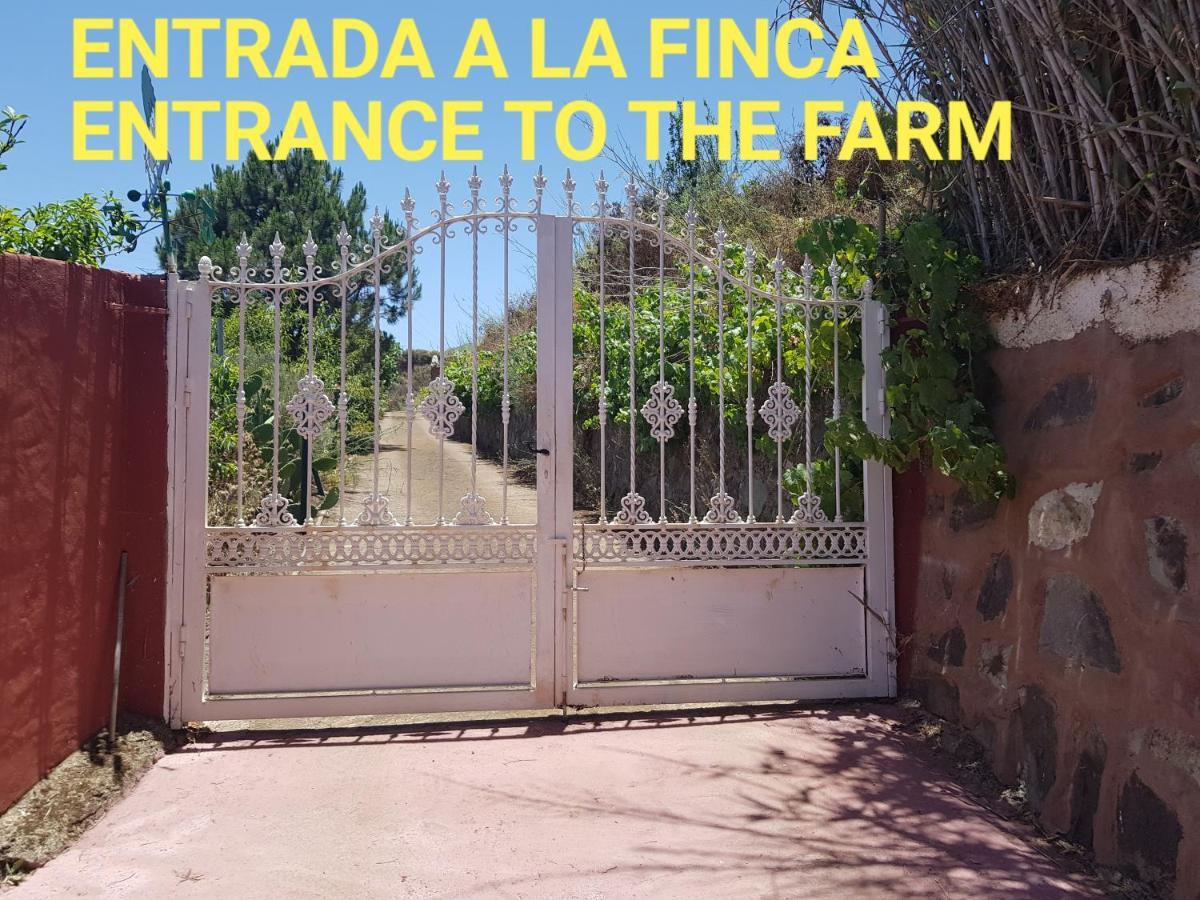 Finca Rural Torres Casas 1 Y 4 Bed & Breakfast Вега де Сан Матео Екстериор снимка